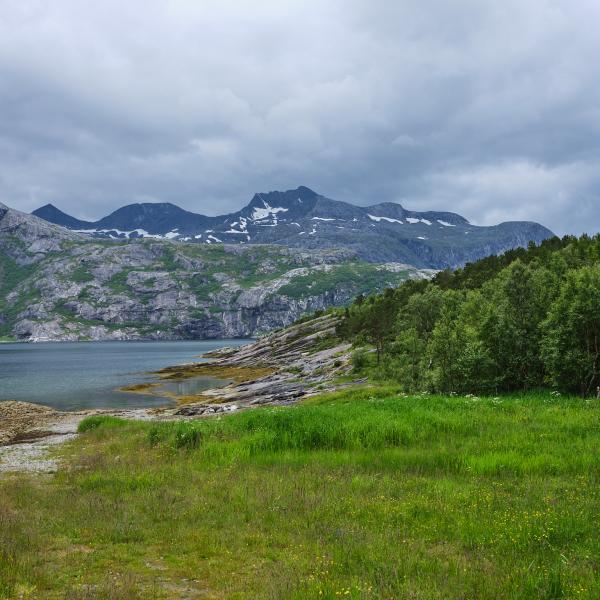 Gillesvåg